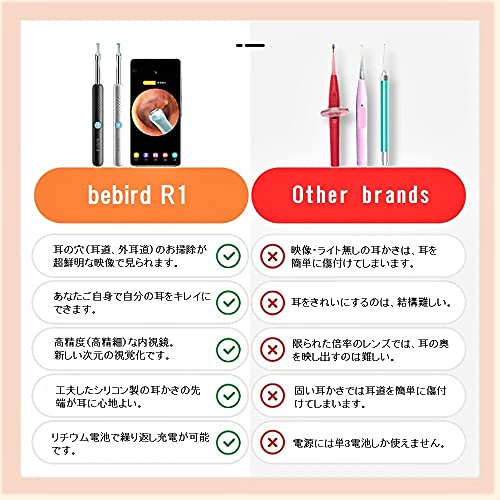 スリー・アールシステム BEBIRD R1 5枚目