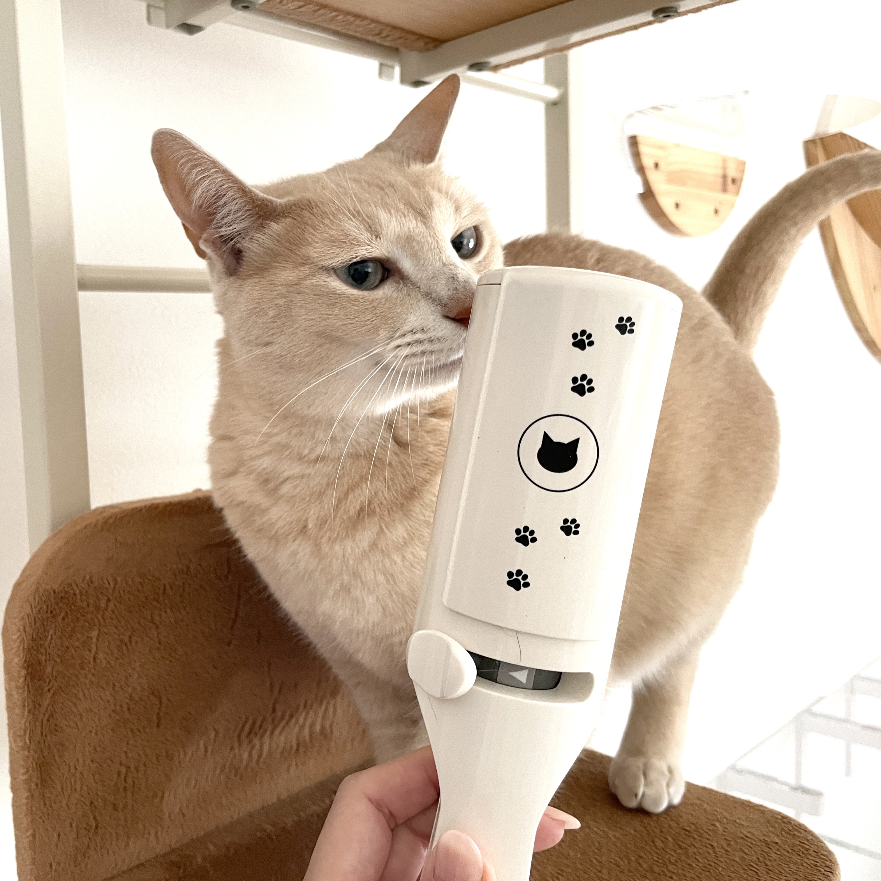 猫壱 猫壱 抜け毛取りワイパー 1枚目