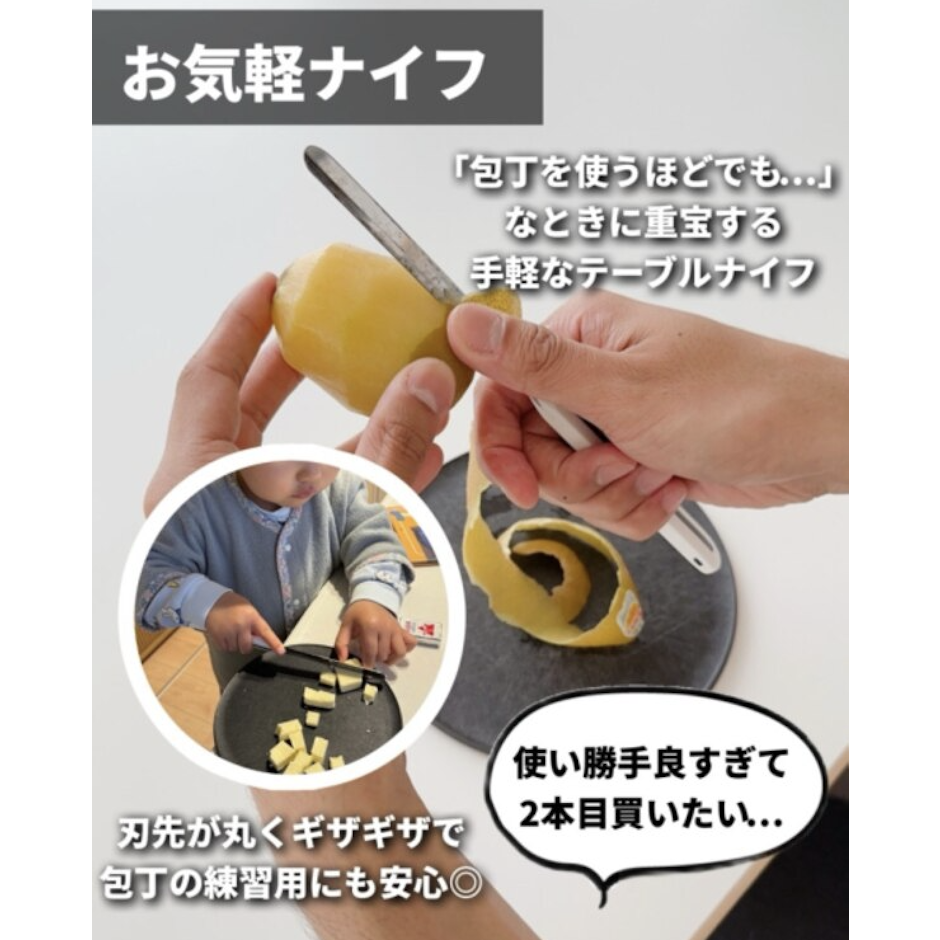ARCOS アルコス テーブルナイフ 10cm 1枚目