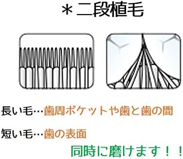 【送料無料＆希望者キシリト－ルガム個包装のおまけ付き！】テペ(TePe) 歯ブラシ スプリーム,スプリーム コンパクト 2枚目