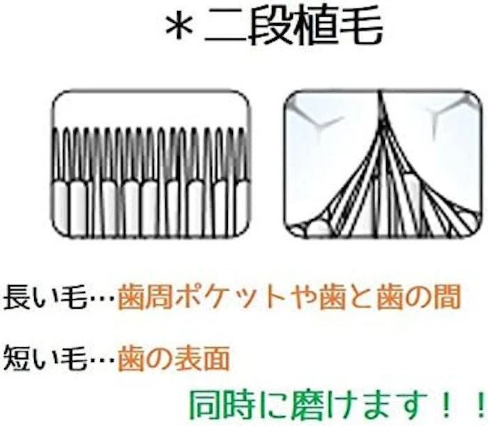 【送料無料&希望者キシリト-ルガム個包装のおまけ付き!】テペ(TePe) 歯ブラシ スプリーム,スプリーム コンパクト 2枚目