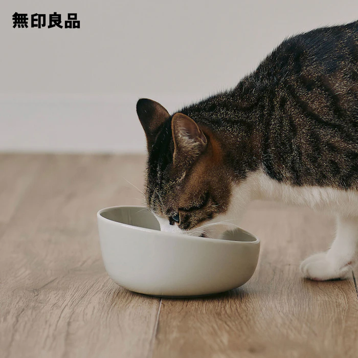 無印良品 磁器 ペット用フードボウル 小 2枚目