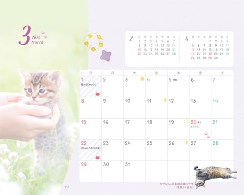にゃっぷる 保護ねこカレンダー2026 卓上版「幸せつないだ12匹のこねこ」／ねこの保護団体への寄付つき 3枚目