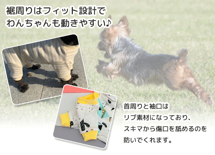 Medel Quon サボテンパジャマ 4枚目
