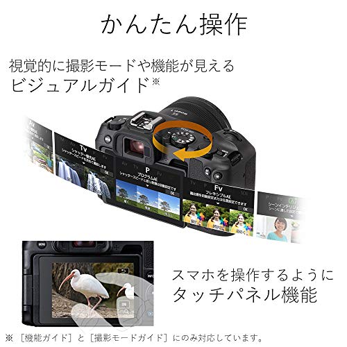 キヤノン EOS RP 5枚目