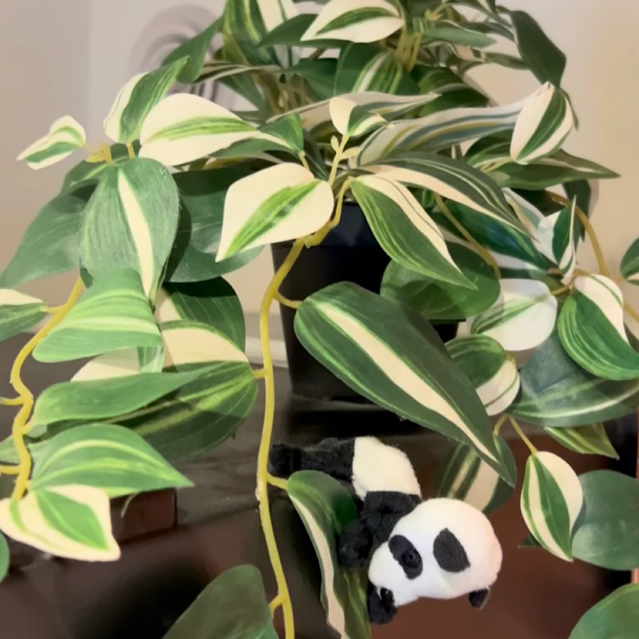 IKEA FEJKA フェイカ 人工観葉植物 トラデスカンチア・ゼブリナ 3枚目