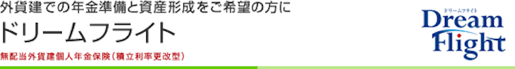 三井生命保険 ドリームフライト 1枚目