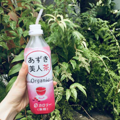 遠藤製餡 あずき美人茶 500ml×24本 1枚目