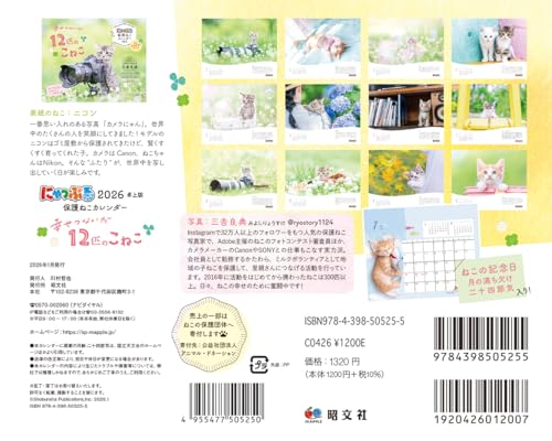 にゃっぷる 保護ねこカレンダー2026 卓上版「幸せつないだ12匹のこねこ」／ねこの保護団体への寄付つき 7枚目