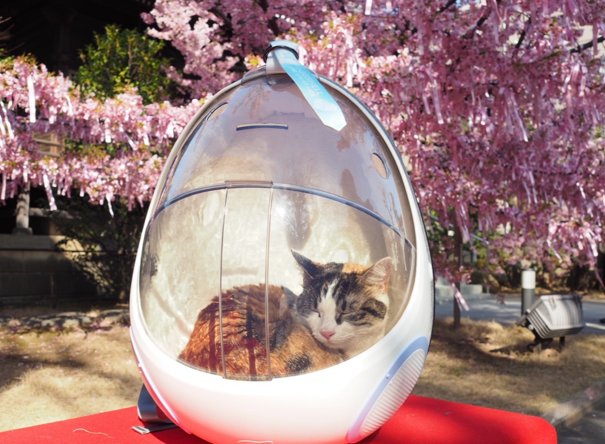 カッキガッキ 宇宙船カプセルリュック 1枚目