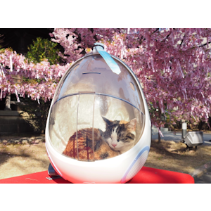 カッキガッキ 宇宙船カプセルリュック 1枚目