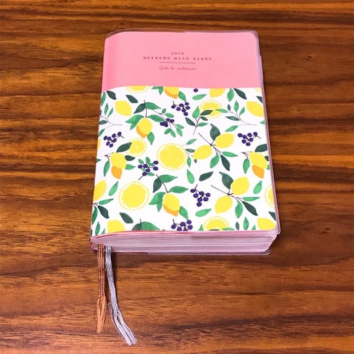 ディスカヴァー・トゥエンティワン 週末野心手帳 WEEKEND WISH DIARY 2019 3枚目