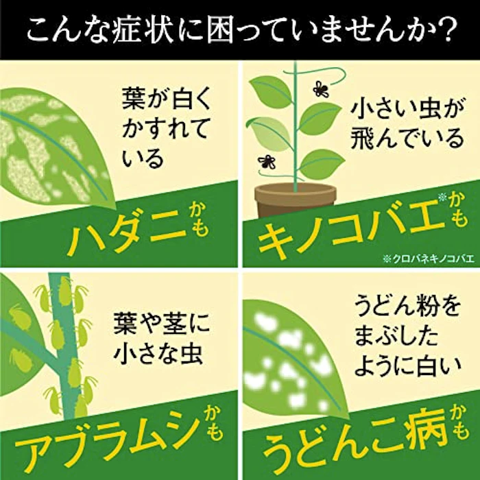 BotaNice 植物の虫・病気対策 殺菌殺虫スプレー 3枚目