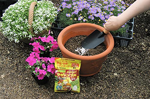ハイポネックスジャパン マグァンプK 中粒 3枚目