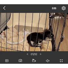 TP-Link パンチルト ネットワークWi-Fiカメラ 1枚目