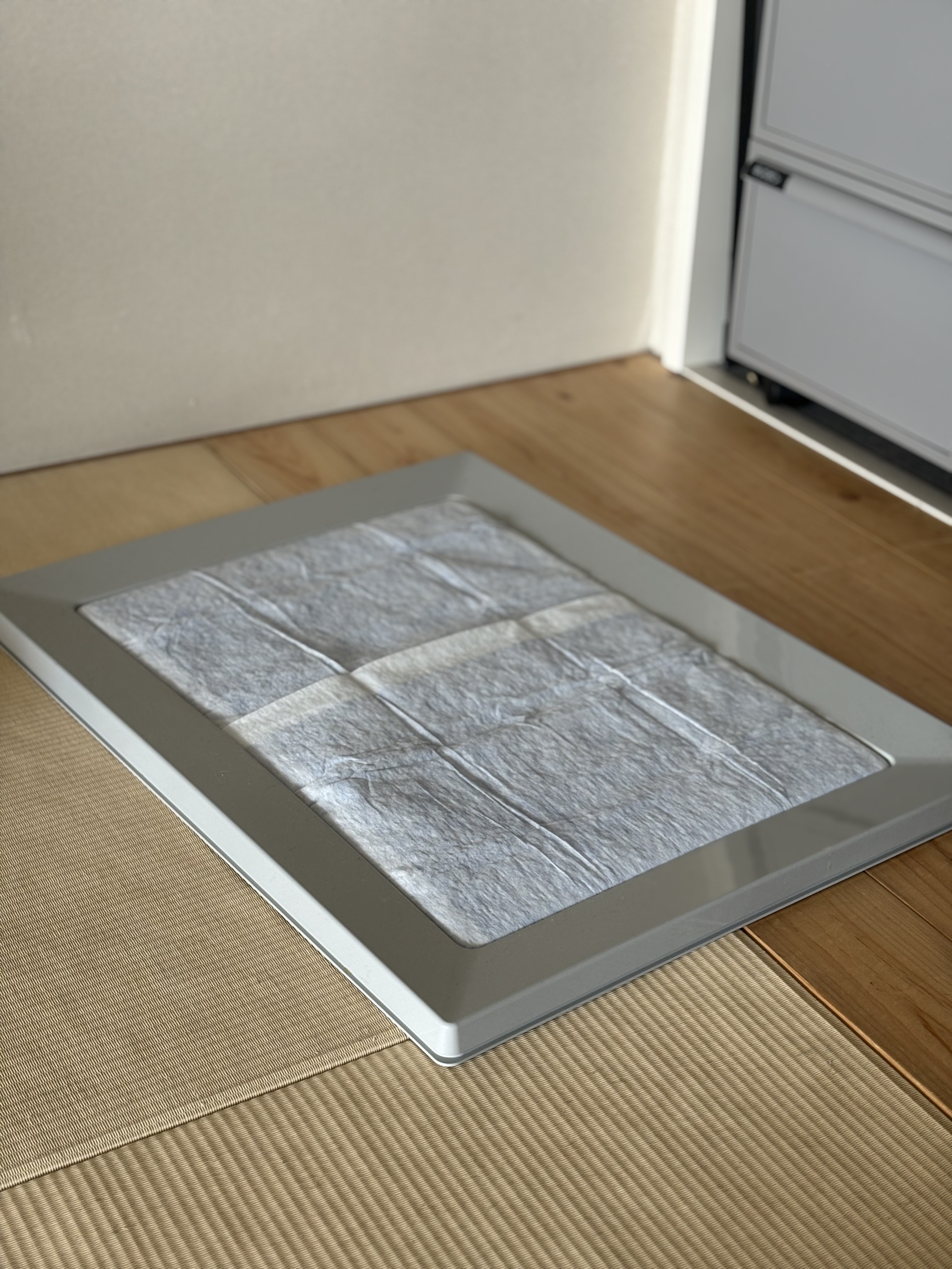 アイリスオーヤマ 犬 トイレトレー ワイド スタイリッシュ ペットトレー アイリスオーヤマペットトイレ ペットシート トレー スクエアドッグトレー SQDT-616W 犬用 トイレ 簡単 おしゃれ シンプル 1枚目