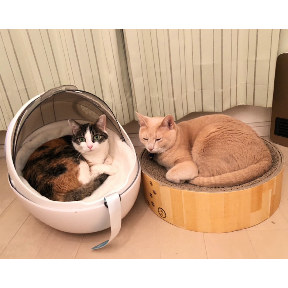 カッキガッキ 宇宙船カプセルリュック 3枚目