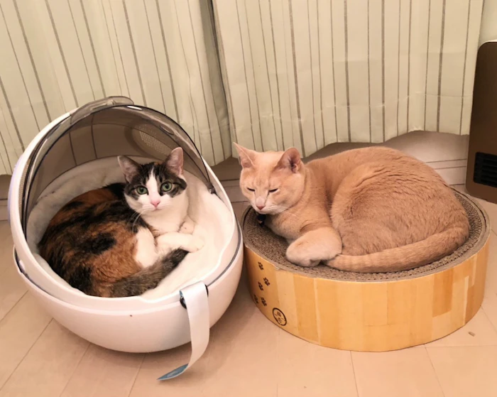 カッキガッキ 宇宙船カプセルリュック 3枚目