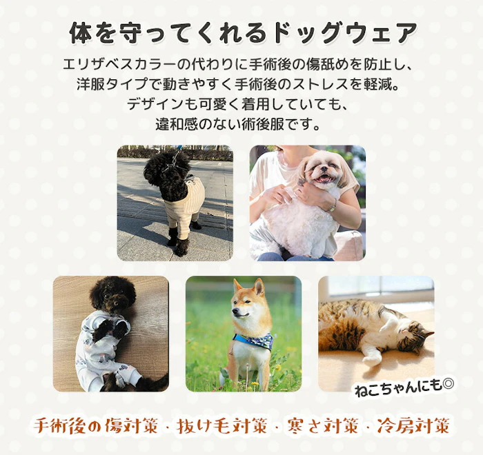 Medel Quon サボテンパジャマ 5枚目