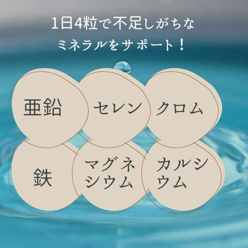 健康応援団 サプリメント マルチミネラル 6種類のミネラル 3か月分 3袋 360粒 2枚目