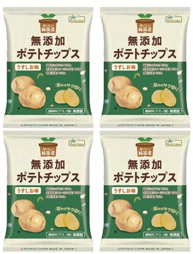 ノースカラーズ   純国産 無添加 ポテトチップス うすしお 【55ｇ✕4袋】 1枚目