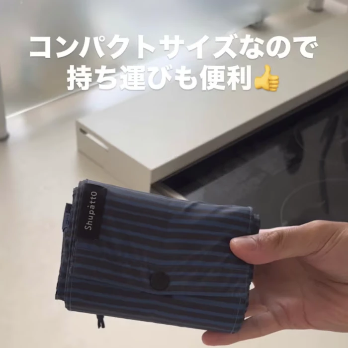 マーナ シュパット 保冷バッグ 20L 2枚目