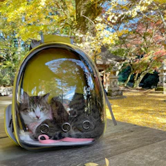 スケルトンリュック 1枚目
