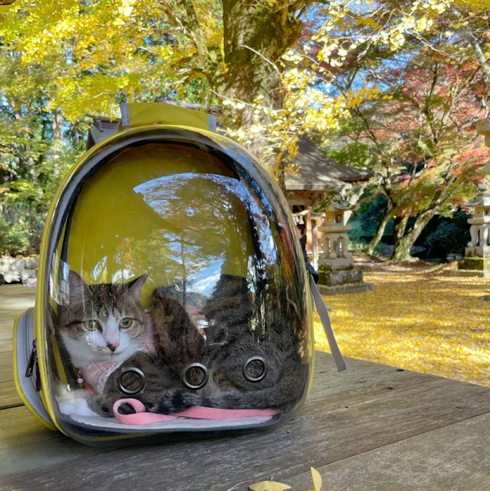 スケルトンリュック 1枚目