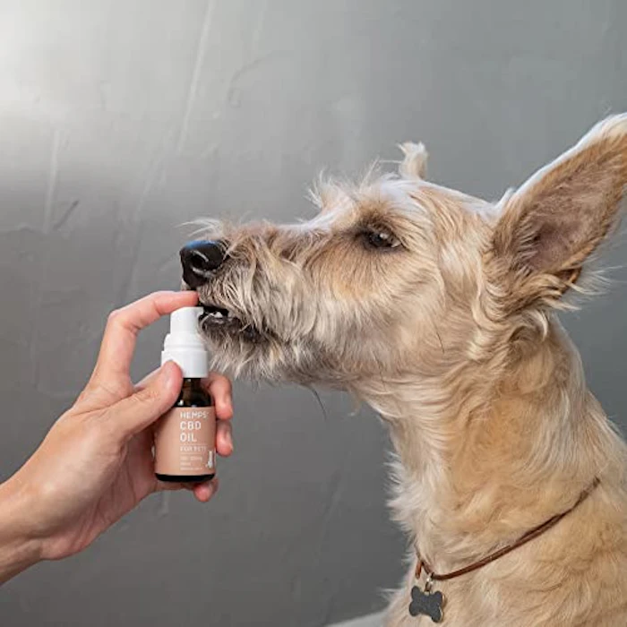 HEMPS HEMPS CBD Oil, Forpets CBD 200 mg, CBD for Pets, CBD Oil, Made in Japan, Mass Retailer, CBD Brand, For Dogs and Cats, Tasteless, Odorless for Pets 2枚目