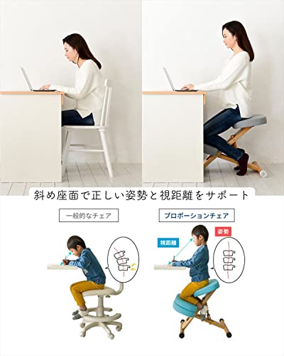 宮武製作所 プロポーションチェア 洗える取外しカバー付き 幅49.5×奥行61-68×高さ43-64cm 木材 姿勢サポートブラック 6枚目