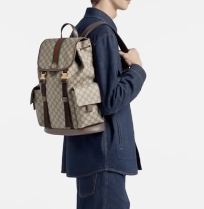 GUCCI 〔オフィディア〕ラージ バックパック 2枚目