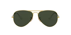 Ray-Ban RB3025 1枚目