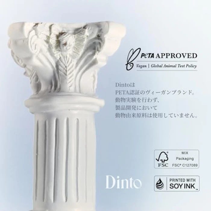 Dinto ブラーグローイリップティント206 グラティア 11枚目