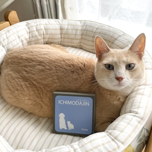 リアライズ 一毛打尽 1枚目