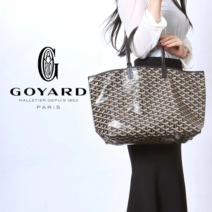 GOYARD サンルイPM 1枚目