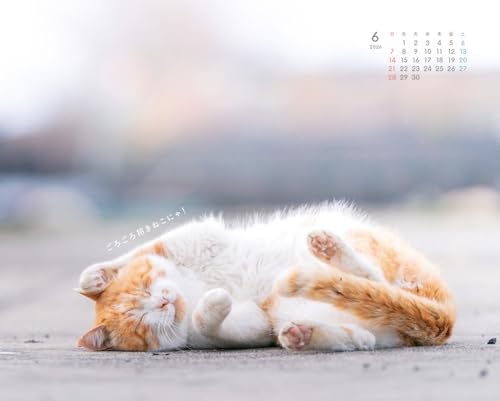にゃっぷる 旅するねこカレンダー2026 卓上版「毎日がねこの日」／ねこの保護団体への寄付つき 4枚目