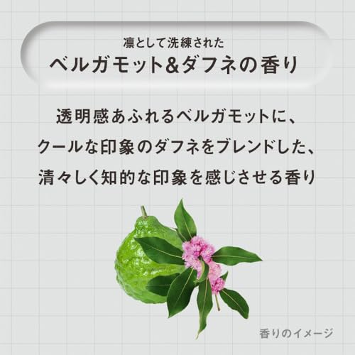 花王 THE ANSWER ジ アンサー スーパーラメラシャンプー ポンプ 400ml ベルガモット＆ダフネの香り 美髪5大必須成分配合 10枚目