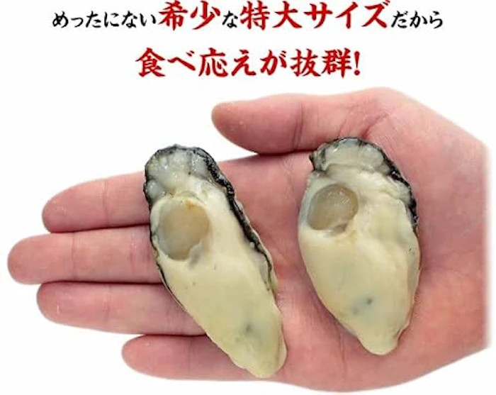 甲羅組 ジャンボ広島かき 1kg 2枚目