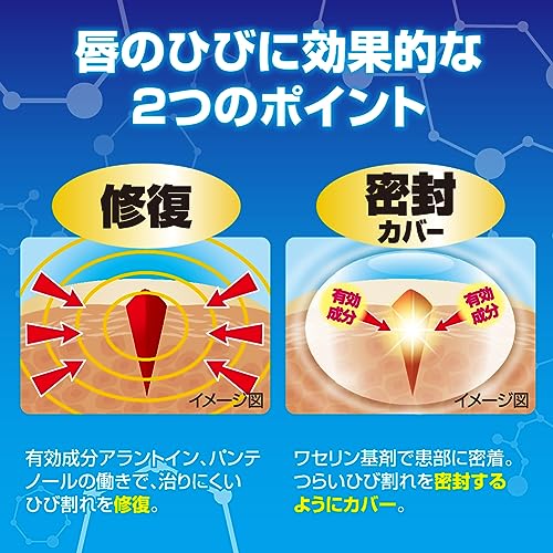 【第3類医薬品】メンソレータム ヒビプロ LP 6g 3枚目
