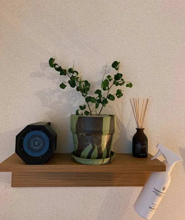植木鉢 プラスチック 4号 1枚目