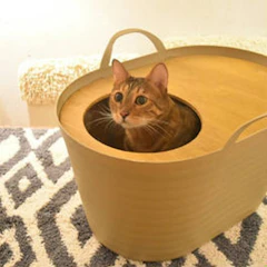 猫カフェキューリグ 上から入る猫トイレ 1枚目