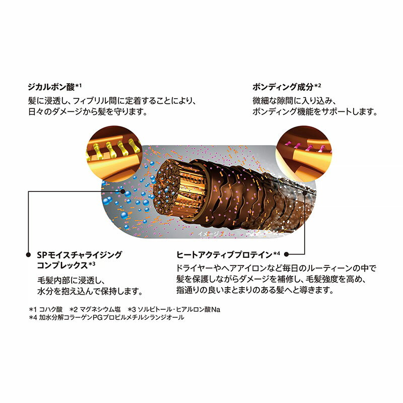 シュワルツコフ ファイバープレックス ボンドオイル 150ml 【送料無料】【最安値挑戦中】 2枚目