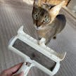 11匹の猫と暮らすニャンスタグラマーが選ぶ!猫毛お掃除グッズ