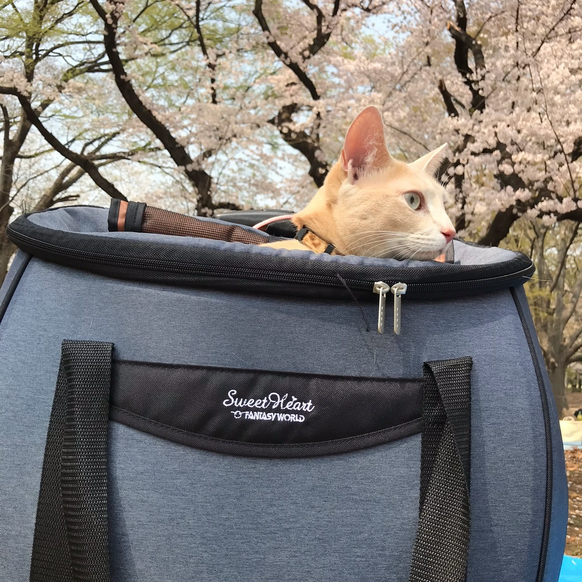 ファンタジーワールド スイートハート4WAYキャリーカート 1枚目