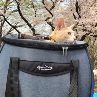 ファンタジーワールド スイートハート4WAYキャリーカート 1枚目
