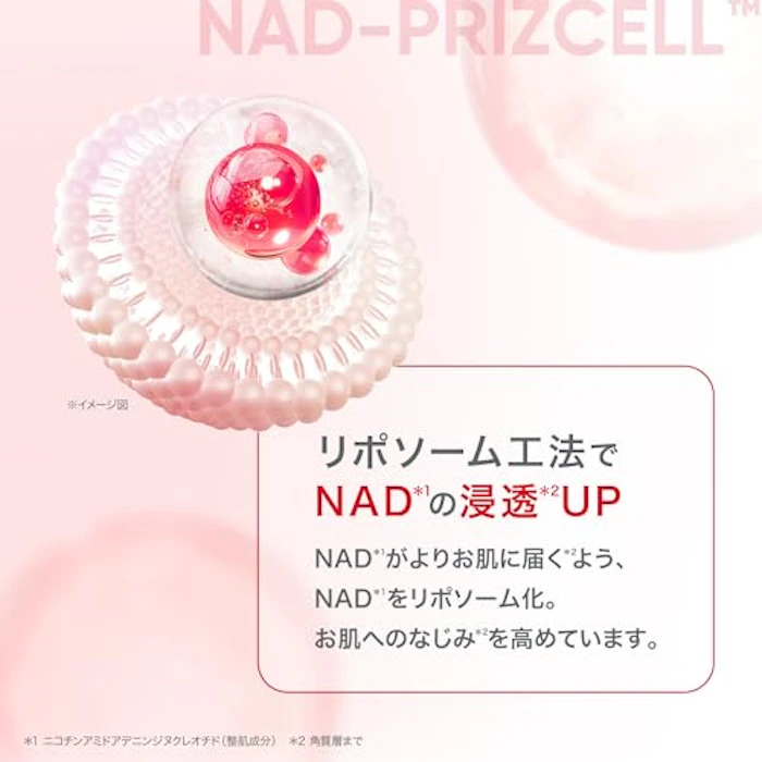 BIOHEAL BOH NADプリズセル™ グロウブーストクリーム 10枚目