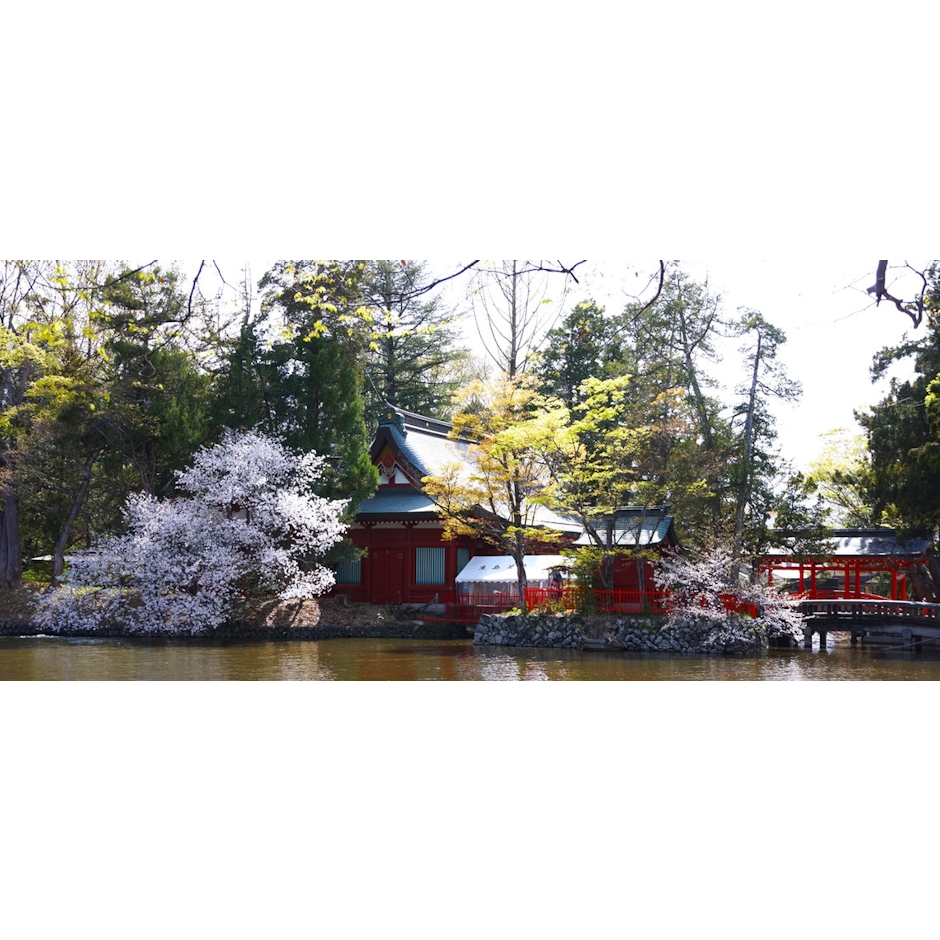 生島足島神社 1枚目