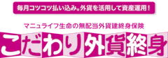 マニュライフ生命保険 こだわり外貨終身 1枚目