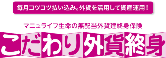 マニュライフ生命保険 こだわり外貨終身 1枚目