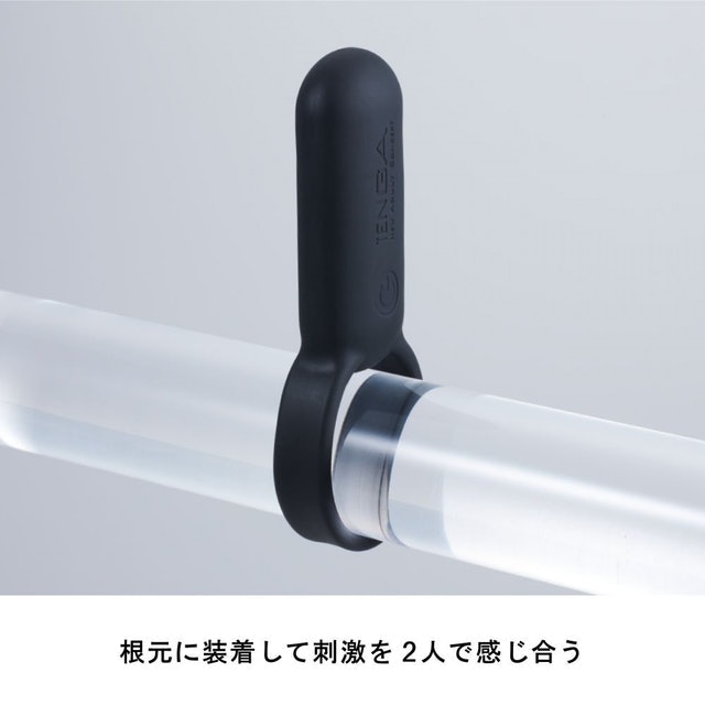 典雅 TENGA SVR  5枚目